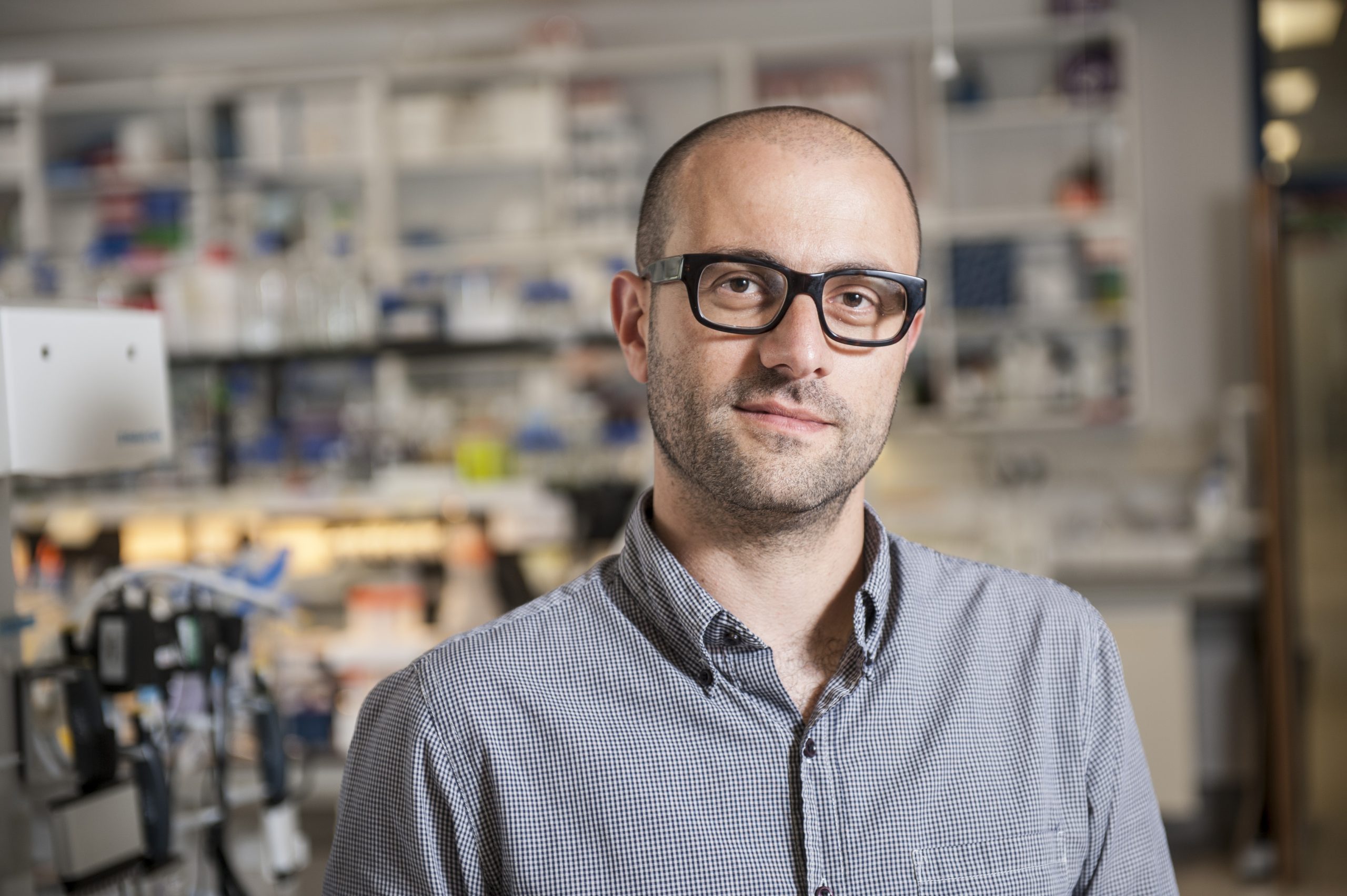 Prof Cyril Zipfel, TSL
