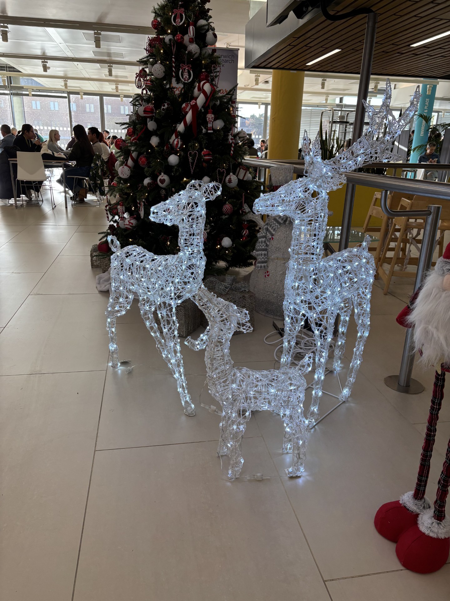 Festive Fling AIP 2025