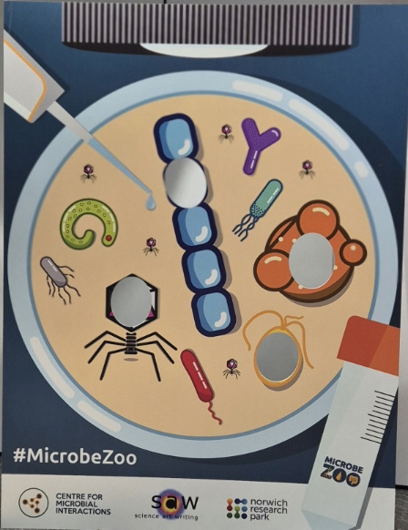 Microbe Zoo CMI Norwich Research Park
